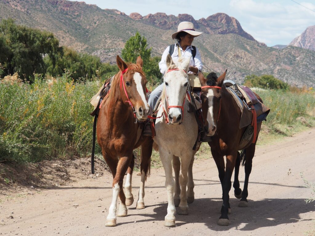 Paseos a Caballo